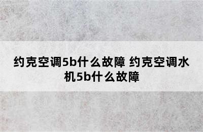 约克空调5b什么故障 约克空调水机5b什么故障